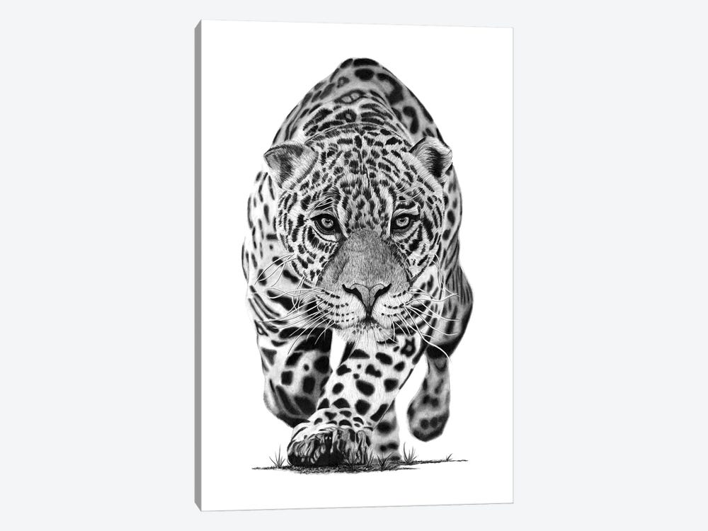 Jaguar by Paul Stowe 1-piece Canvas Art