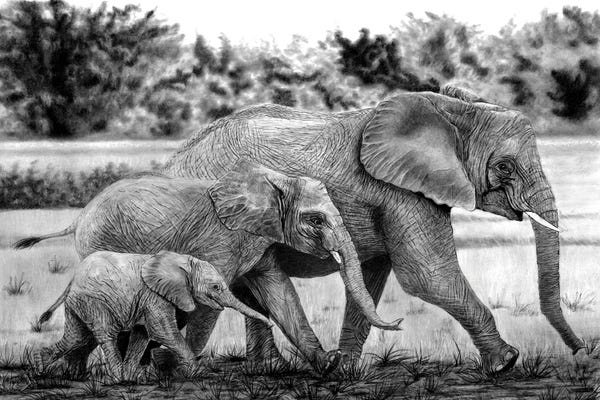 Fine Art Safari: Brothers by Paul Stowe