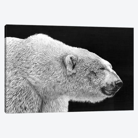 Polar Bear Canvas Print #PSW67} by Paul Stowe Canvas Art