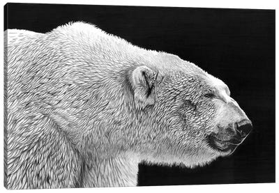 Polar Bear Canvas Art Print - Paul Stowe