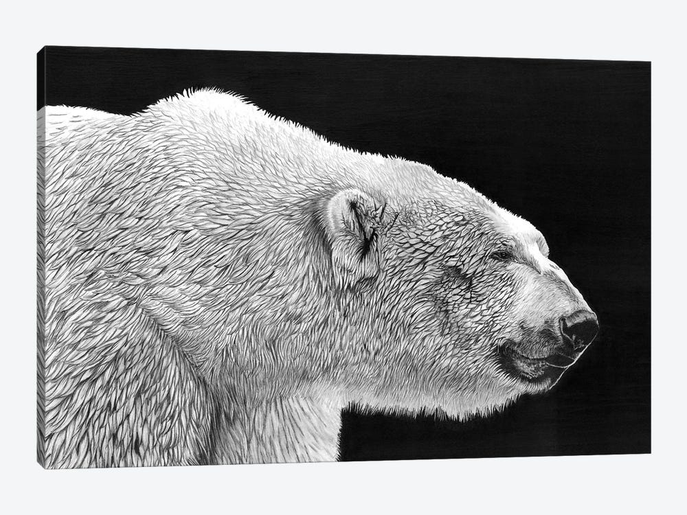 Polar Bear by Paul Stowe 1-piece Canvas Art Print