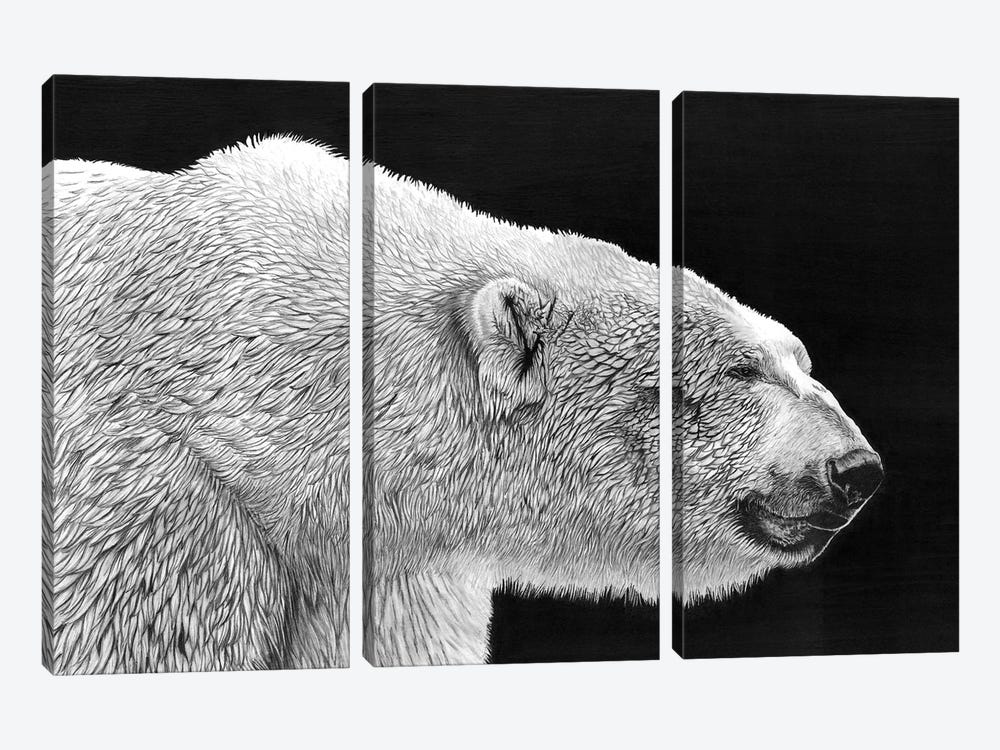 Polar Bear by Paul Stowe 3-piece Canvas Art Print