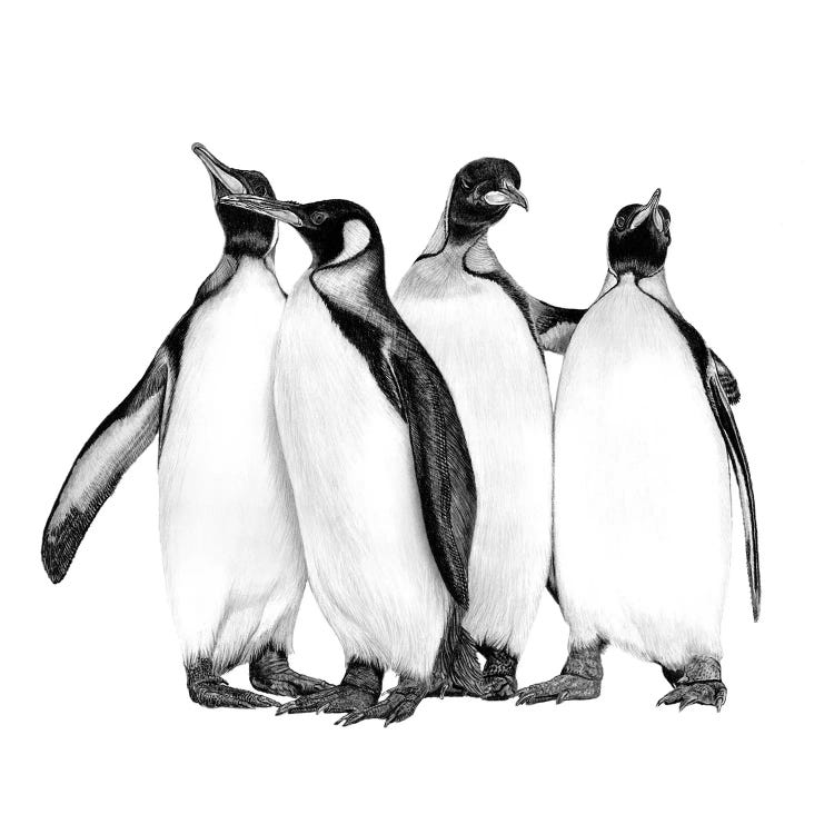 Penguins On The Town by Paul Stowe wall art