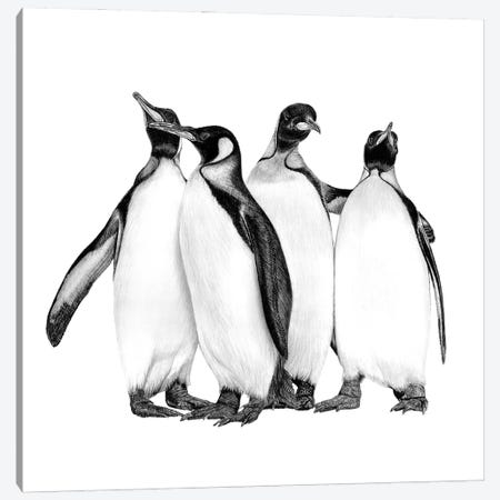 Penguins On The Town Canvas Print #PSW68} by Paul Stowe Art Print