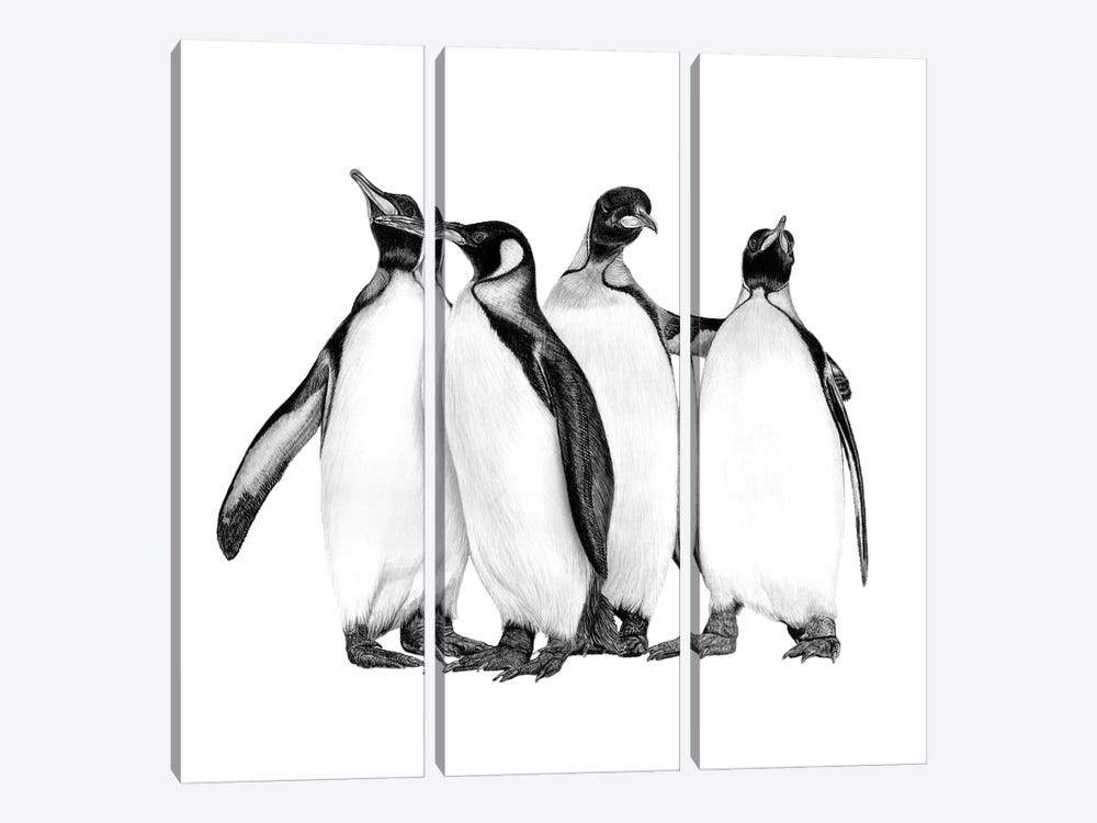 Penguins On The Town by Paul Stowe 3-piece Canvas Art
