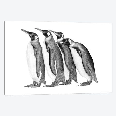 Penguin Parade Canvas Print #PSW72} by Paul Stowe Canvas Wall Art