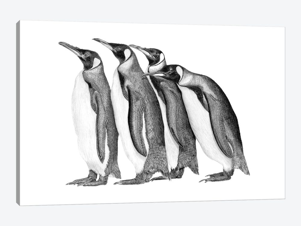 Penguin Parade by Paul Stowe 1-piece Art Print