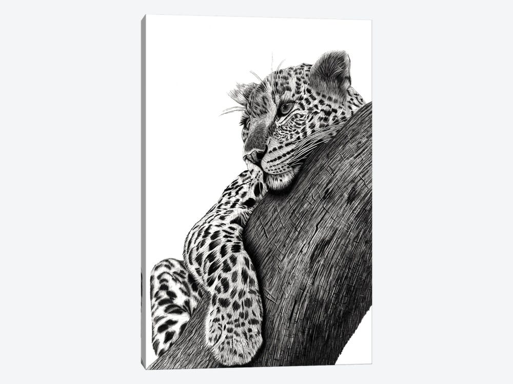Resting Leopard by Paul Stowe 1-piece Art Print