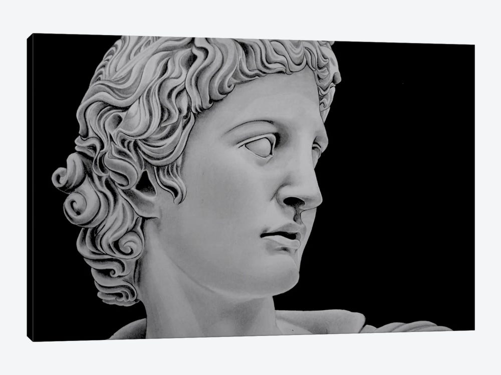 Apollo by Paul Stowe 1-piece Canvas Art