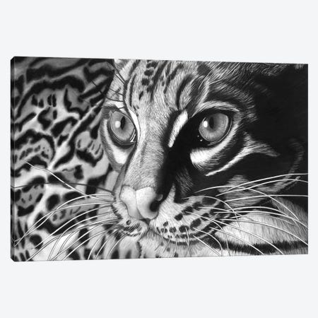Ocelot Canvas Print #PSW83} by Paul Stowe Canvas Print