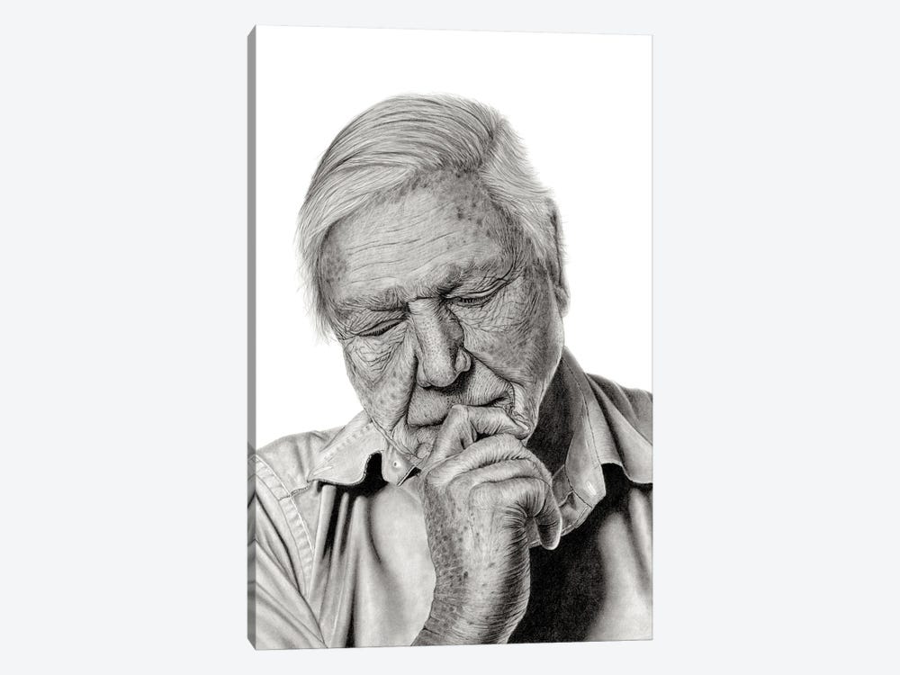 Sir David Attenborough by Paul Stowe 1-piece Canvas Art
