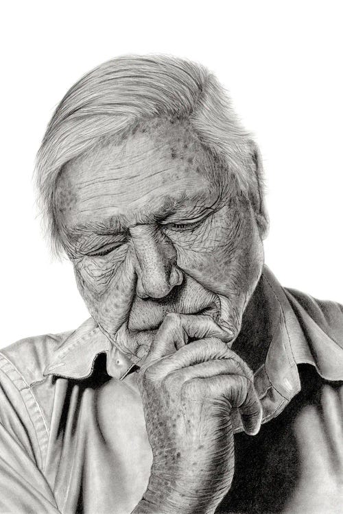 Sir David Attenborough by Paul Stowe wall art