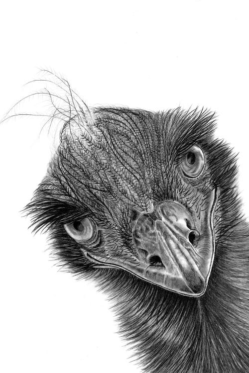 Emu