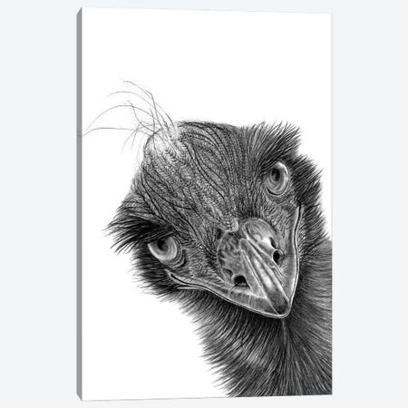 Emu Canvas Print #PSW88} by Paul Stowe Canvas Art Print