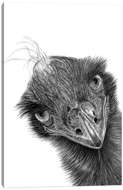 Emu Canvas Art Print