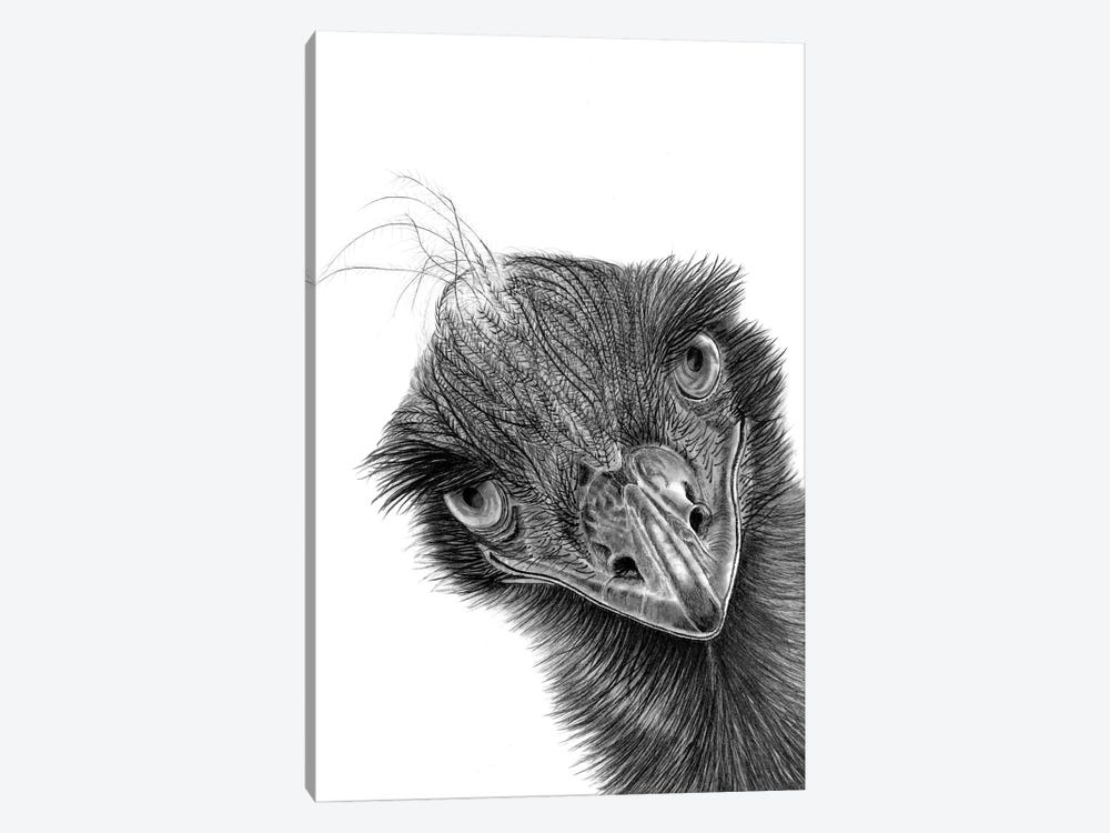 Emu by Paul Stowe 1-piece Canvas Art