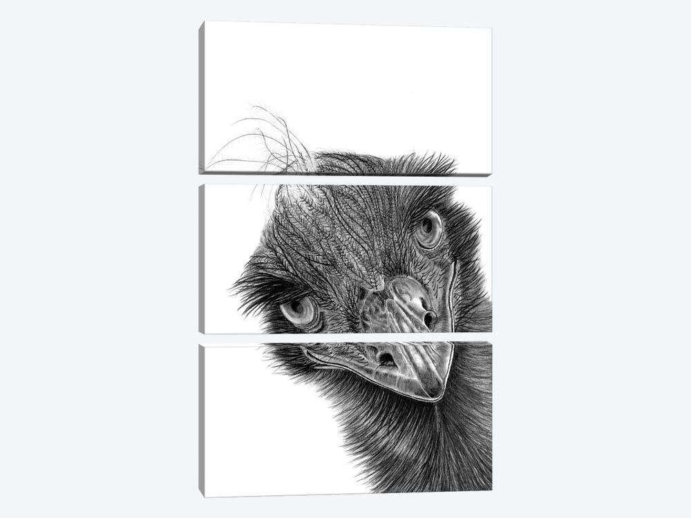 Emu by Paul Stowe 3-piece Canvas Art