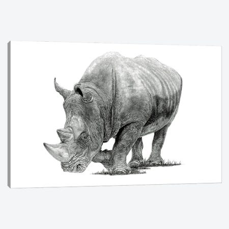 White Rhino Canvas Print #PSW89} by Paul Stowe Canvas Art Print
