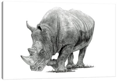 White Rhino Canvas Art Print - Rhinoceros Art