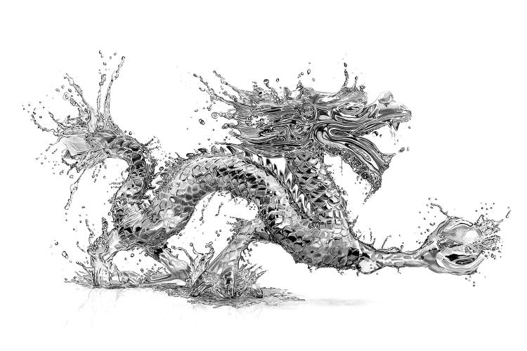 Water Dragon by Paul Stowe wall art