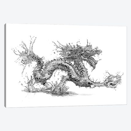 Water Dragon Canvas Print #PSW91} by Paul Stowe Canvas Wall Art