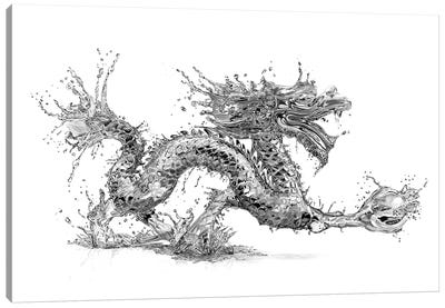 Water Dragon Canvas Art Print - Paul Stowe