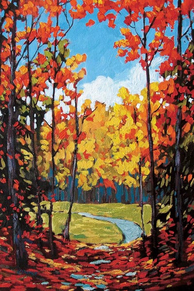 Autumn Path in Old Kinderhook II by Patty Baker art print