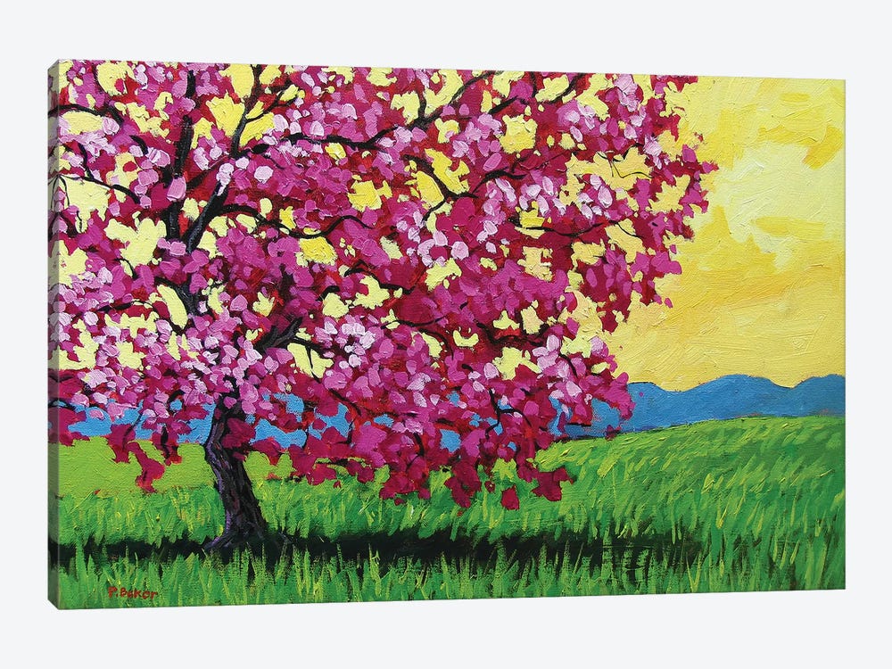 Pink Blossoms and Yellow Sky by Patty Baker 1-piece Canvas Art Print