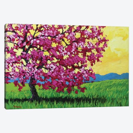 Pink Blossoms and Yellow Sky Canvas Print #PTB100} by Patty Baker Canvas Art