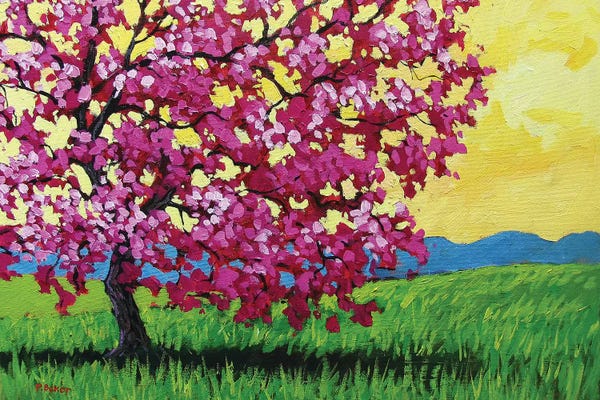 Cherry Blossoms: Pink Blossoms and Yellow Sky by Patty Baker