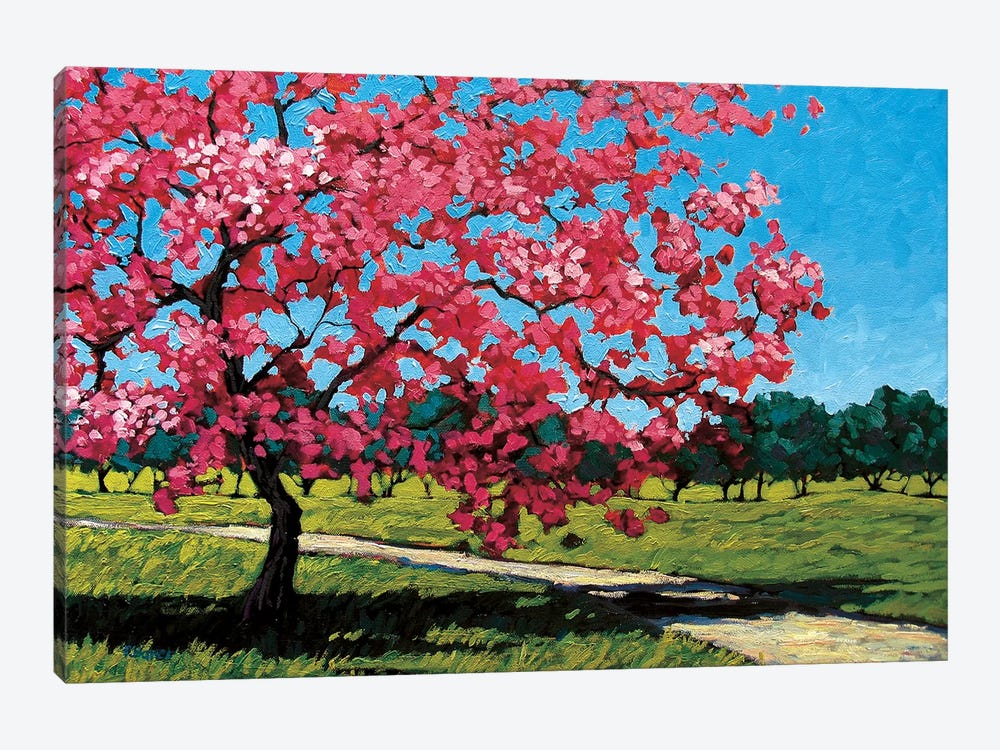 Pink Blossoms On a Summer Day by Patty Baker 1-piece Canvas Artwork