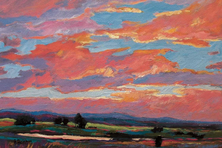 Pink Clouds Over The Foothills