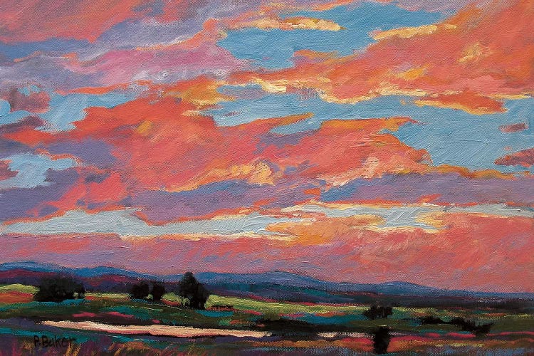 Pink Clouds Over The Foothills by Patty Baker wall art