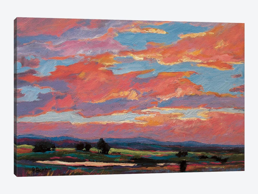 Pink Clouds Over The Foothills by Patty Baker 1-piece Canvas Art Print