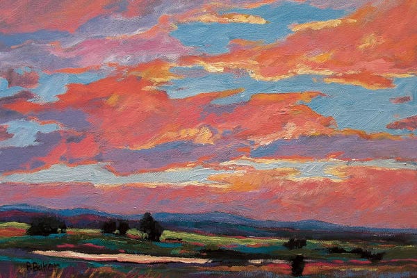 Patty Baker: Pink Clouds Over The Foothills by Patty Baker