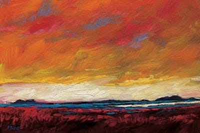 Pink Clouds Over The Plains by Patty Baker art print