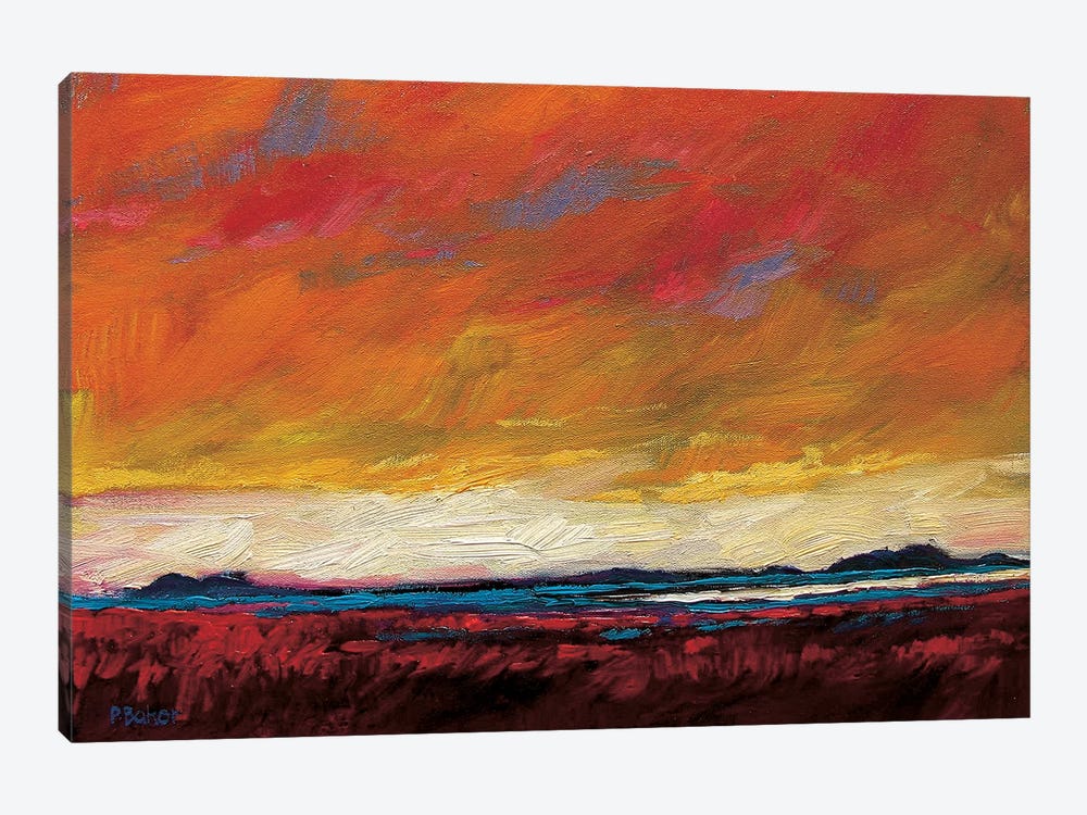 Pink Clouds Over The Plains by Patty Baker 1-piece Canvas Artwork