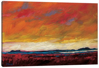 Pink Clouds Over The Plains Canvas Art Print - Patty Baker