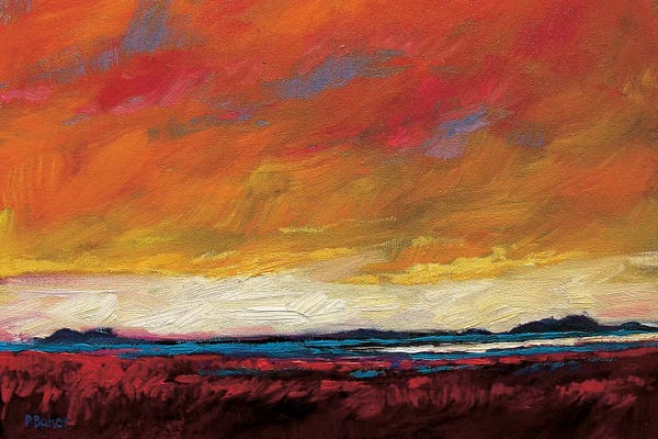 Patty Baker: Pink Clouds Over The Plains by Patty Baker