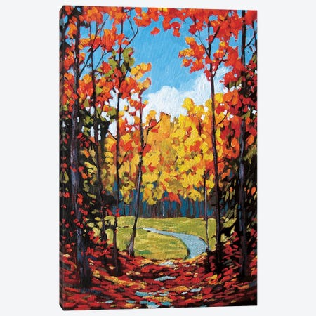 Autumn Path in Old Kinderhook II Canvas Print #PTB10} by Patty Baker Canvas Art
