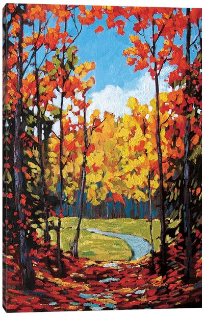Autumn Path in Old Kinderhook II Canvas Art Print - Patty Baker
