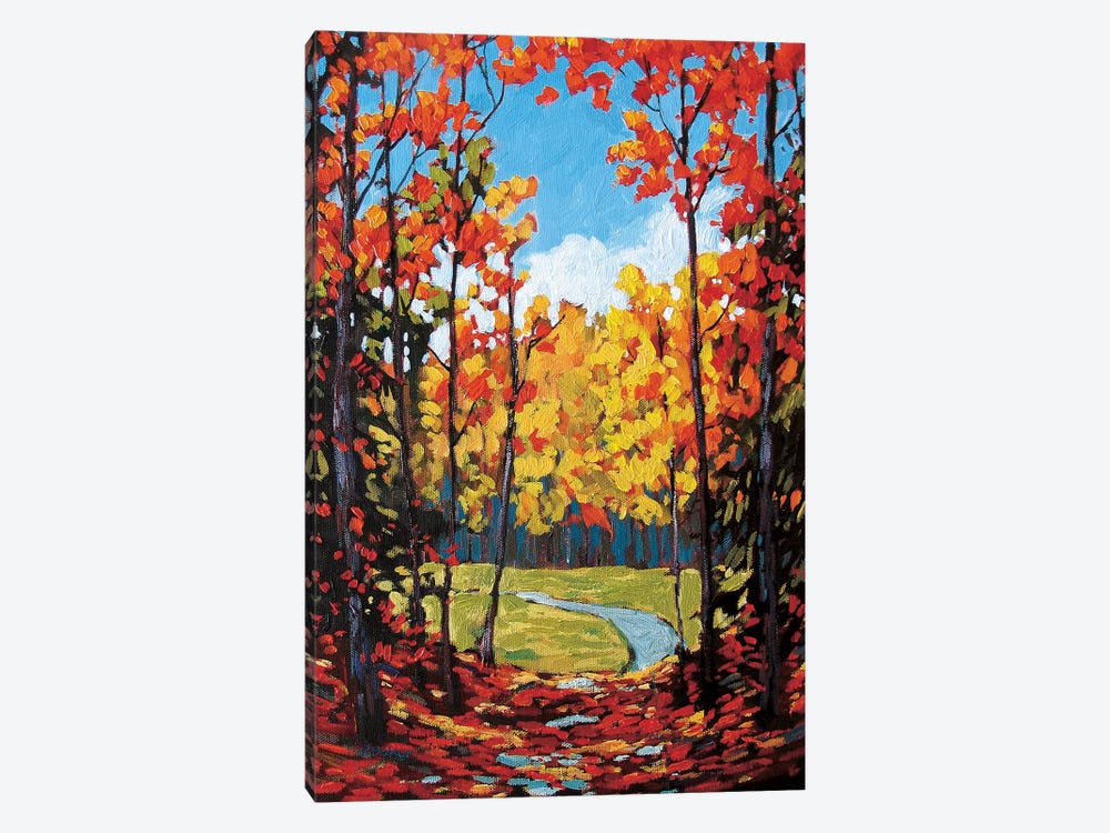 Autumn Path in Old Kinderhook II by Patty Baker 1-piece Canvas Art