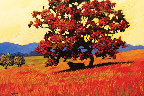 Patty Baker: Resting Cow on Autumn Afternoon by Patty Baker