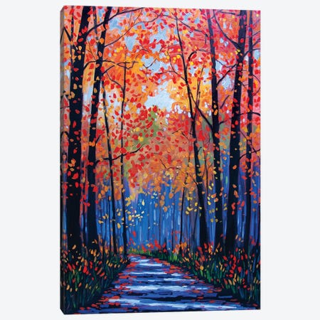 Autumn Path in Old Kinderhook III Canvas Print #PTB11} by Patty Baker Canvas Art