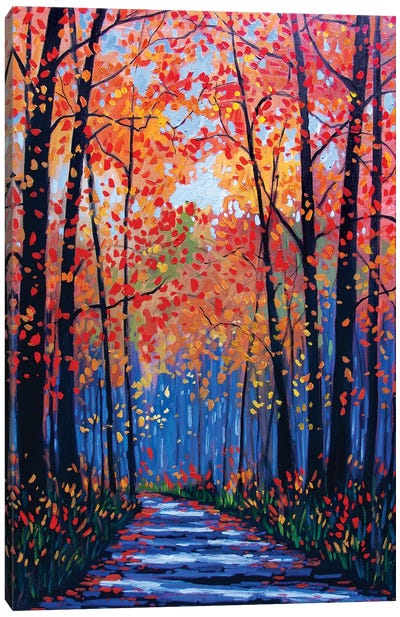 Autumn Path in Old Kinderhook III Canvas Art Print - Patty Baker