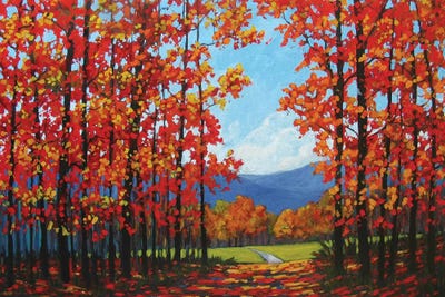 Autumn Path IV by Patty Baker art print