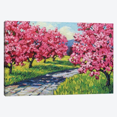 Road Through and Orchard Canvas Print #PTB120} by Patty Baker Canvas Artwork