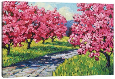 Road Through and Orchard Canvas Art Print - Patty Baker