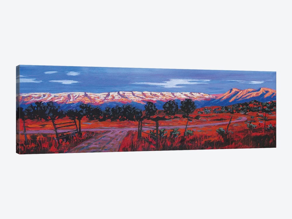 Roan Plateau, Colorado by Patty Baker 1-piece Canvas Artwork