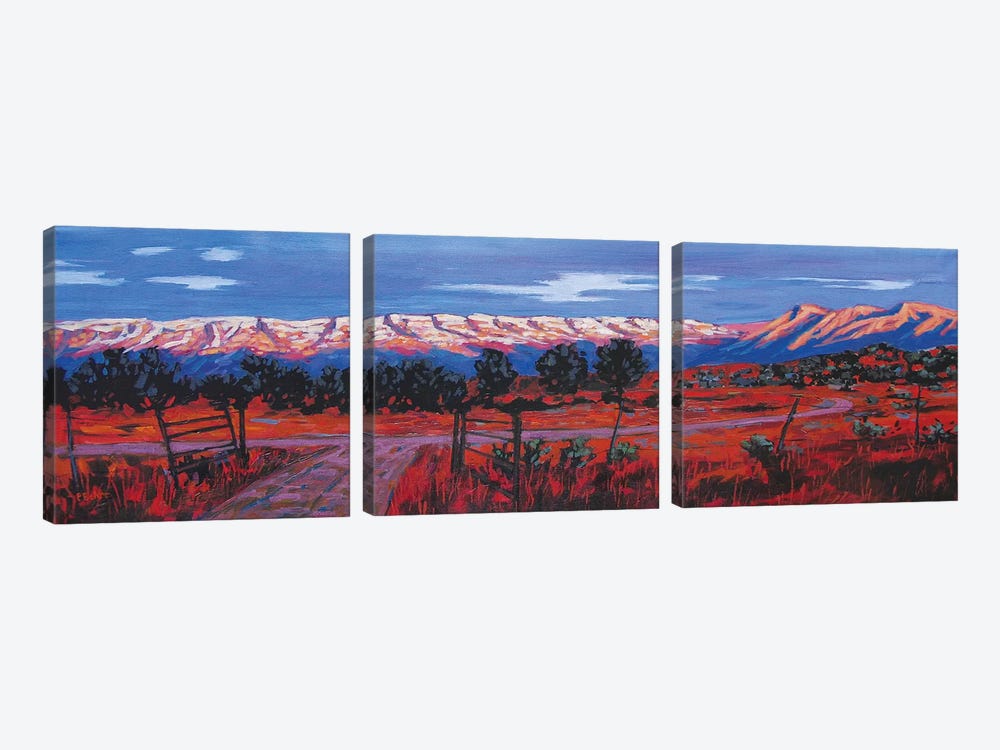 Roan Plateau, Colorado by Patty Baker 3-piece Canvas Artwork